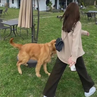 单身初恋日记